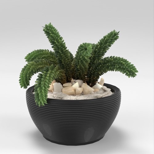 SU模型库丨Vray模型丨植物丨SUBIM002ZW0253