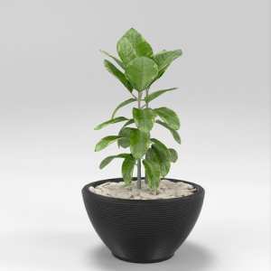 SU模型库丨Vray模型丨植物丨SUBIM002ZW0254