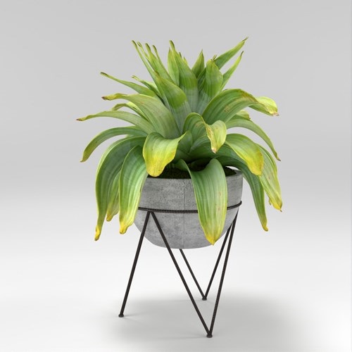 SU模型库丨Vray模型丨植物丨SUBIM002ZW0257