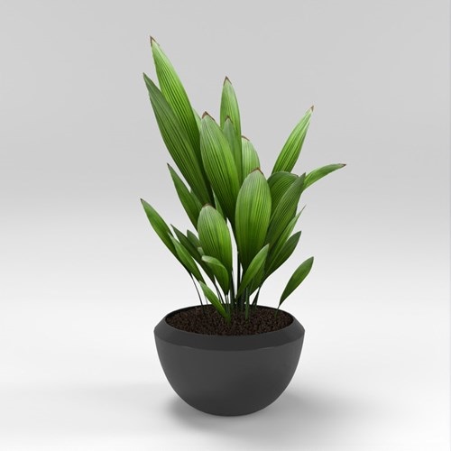 SU模型库丨Vray模型丨植物丨SUBIM002ZW0258