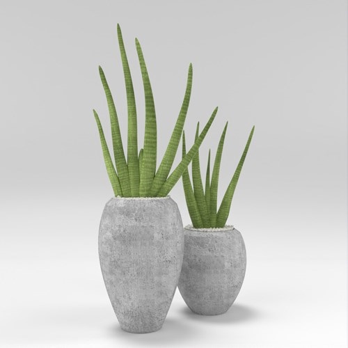 SU模型库丨Vray模型丨植物丨SUBIM002ZW0259