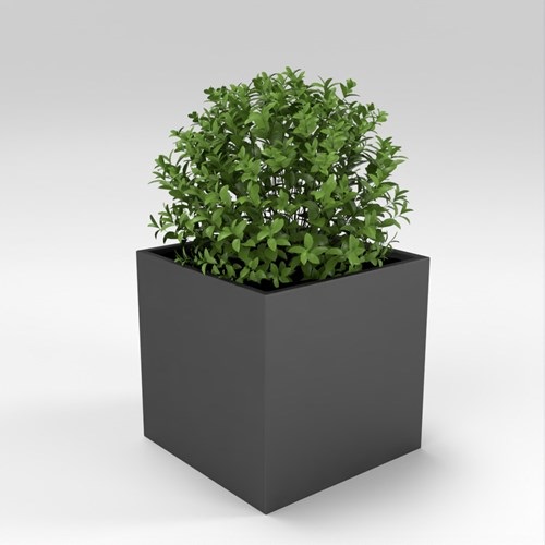 SU模型库丨Vray模型丨植物丨SUBIM002ZW0265