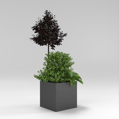SU模型库丨Vray模型丨植物丨SUBIM002ZW0266