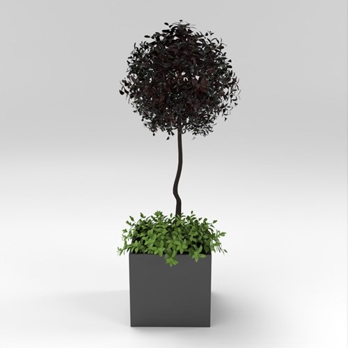 SU模型库丨Vray模型丨植物丨SUBIM002ZW0267