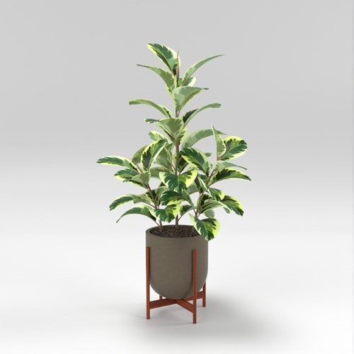 SU模型库丨Vray模型丨植物丨SUBIM002ZW0269
