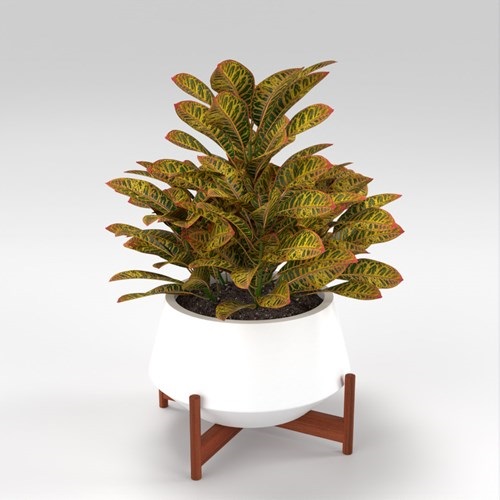 SU模型库丨Vray模型丨植物丨SUBIM002ZW0270