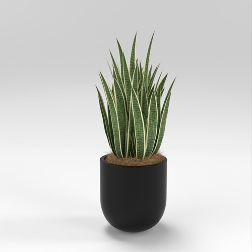 SU模型库丨Vray模型丨植物丨SUBIM002ZW0272