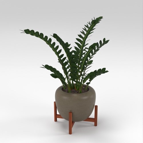 SU模型库丨Vray模型丨植物丨SUBIM002ZW0273