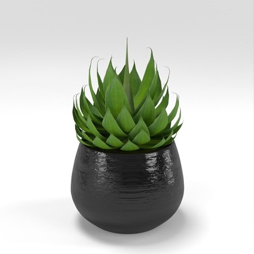 SU模型库丨Vray模型丨植物丨SUBIM002ZW0276