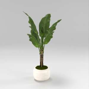 SU模型库丨Vray模型丨植物丨SUBIM002ZW0277