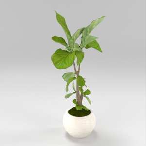 SU模型库丨Vray模型丨植物丨SUBIM002ZW0278