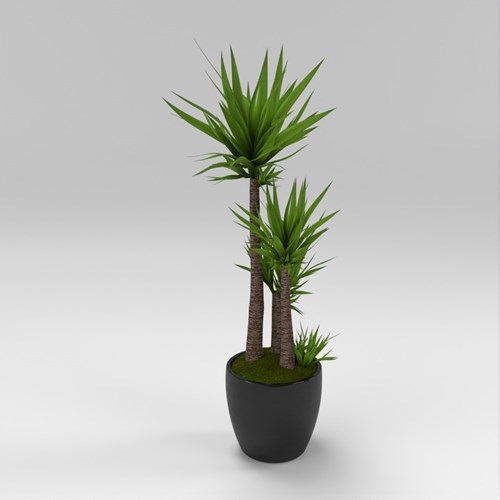 SU模型库丨Vray模型丨植物丨SUBIM002ZW0279