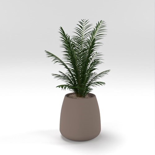 SU模型库丨Vray模型丨植物丨SUBIM002ZW0284