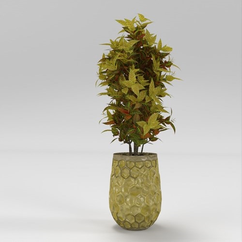 SU模型库丨Vray模型丨植物丨SUBIM002ZW0290