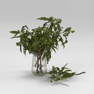 SU模型库丨Vray模型丨植物丨SUBIM002ZW0291