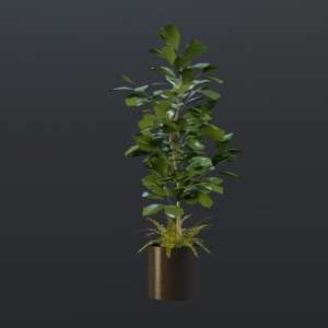 SU模型库丨Vray模型丨植物丨SUBIM099CS0194