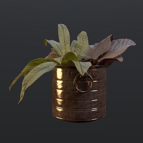 SU模型库丨Vray模型丨植物丨SUBIM099CZY0244