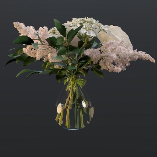 SU模型库丨Vray模型丨植物丨SUBIM099CZY0308