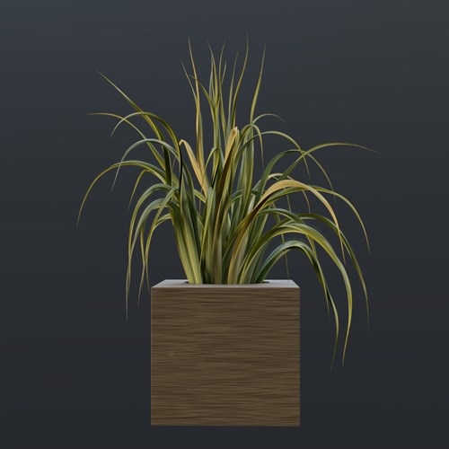SU模型库丨Vray模型丨植物丨SUBIM099CS0278