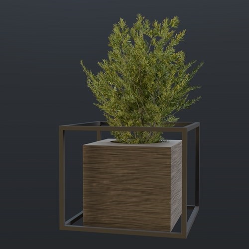 SU模型库丨Vray模型丨植物丨SUBIM099CS0286