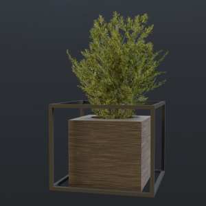 SU模型库丨Vray模型丨植物丨SUBIM099CS0286