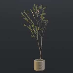 SU模型库丨Vray模型丨植物丨SUBIM099CS0361