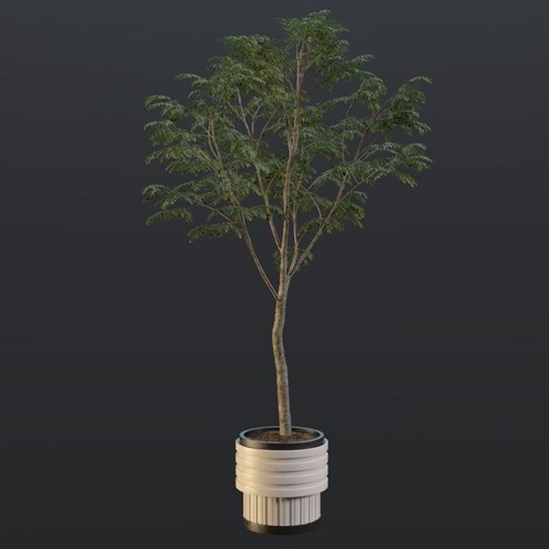 SU模型库丨Vray模型丨植物丨SUBIM099CS0393