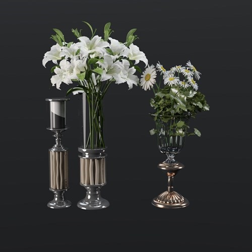 SU模型库丨Vray模型丨植物丨SUBIM006CS0040