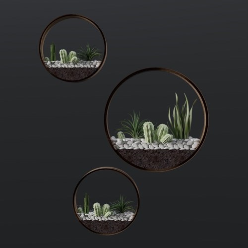 SU模型库丨Vray模型丨植物丨SUBIM006CS0126