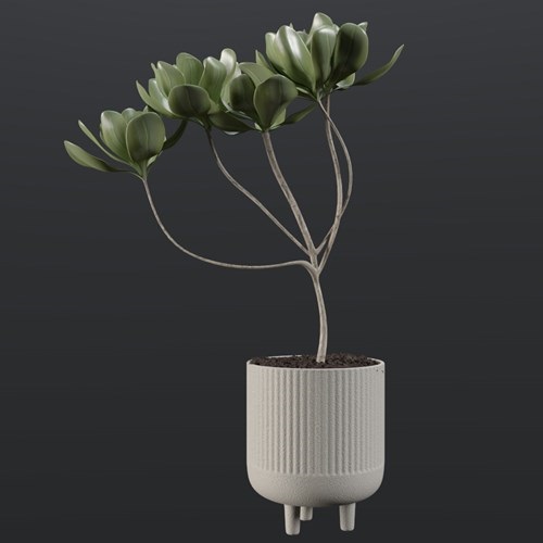 SU模型库丨Vray模型丨植物丨SUBIM099CS0637