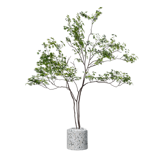 SU模型库丨Vray模型丨植物丨SUBIM099CS0947