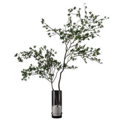 SU模型库丨Vray模型丨植物丨SUBIM006CS0208
