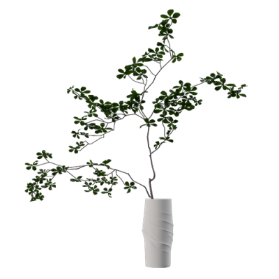 SU模型库丨Vray模型丨植物丨SUBIM006CS0267