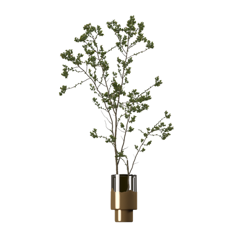 SU模型库丨Vray模型丨植物丨SUBIM006CS0271