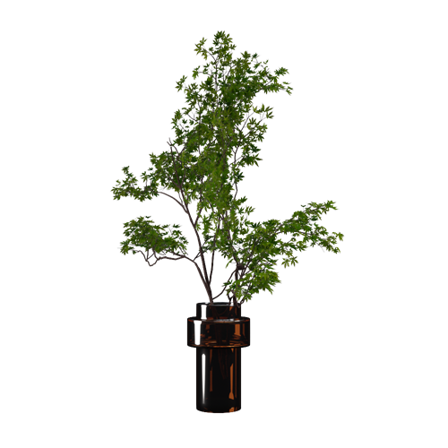 SU模型库丨Vray模型丨植物丨SUBIM006CS0284