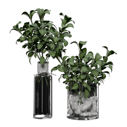 SU模型库丨Vray模型丨植物丨SUBIM099CS0978