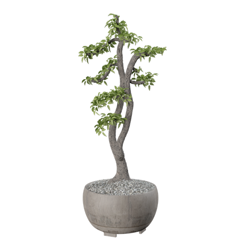 SU模型库丨Vray模型丨植物丨SUBIM099CS1016