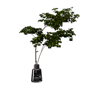 SU模型库丨植物丨SUBIM006CS0294