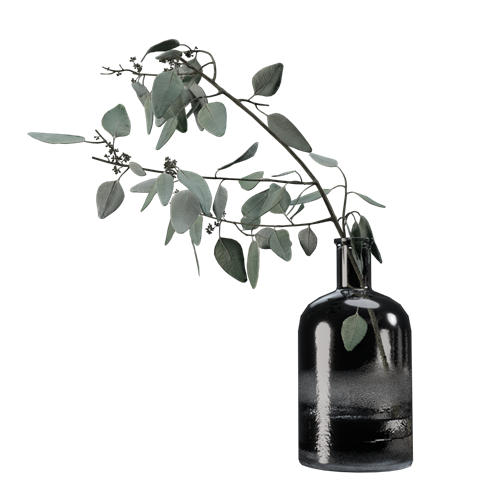 SU模型库丨植物丨SUBIM006CS0350
