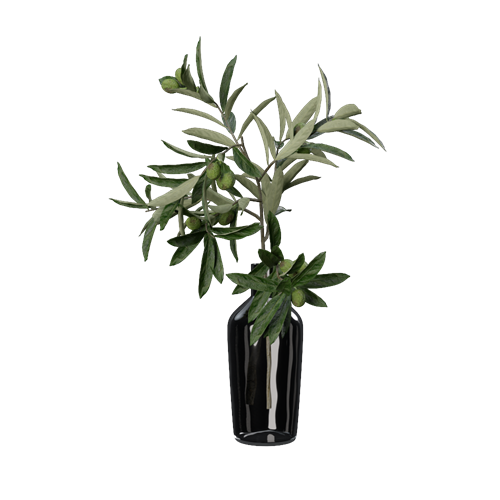 SU模型库丨植物丨SUBIM006CS0363
