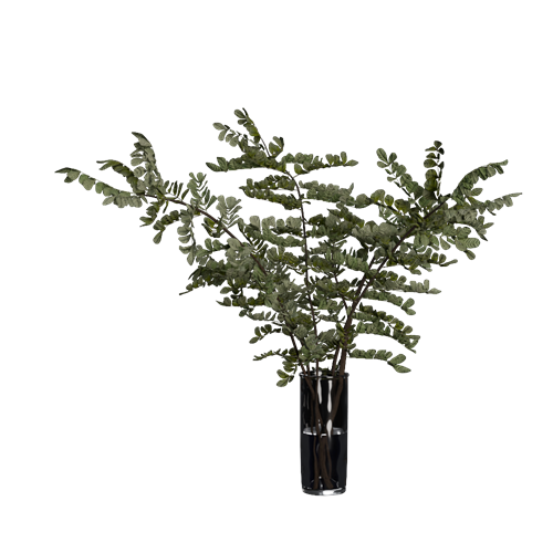 SU模型库丨植物丨SUBIM006CS0385