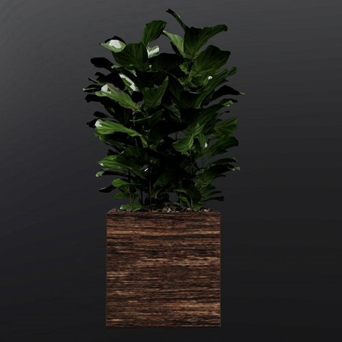 SU模型库丨植物丨SUBIM099ENS0409