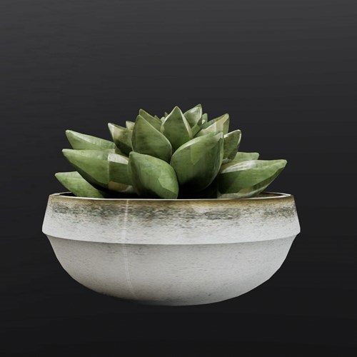 SU模型库丨植物丨SUBIM099ENS0524