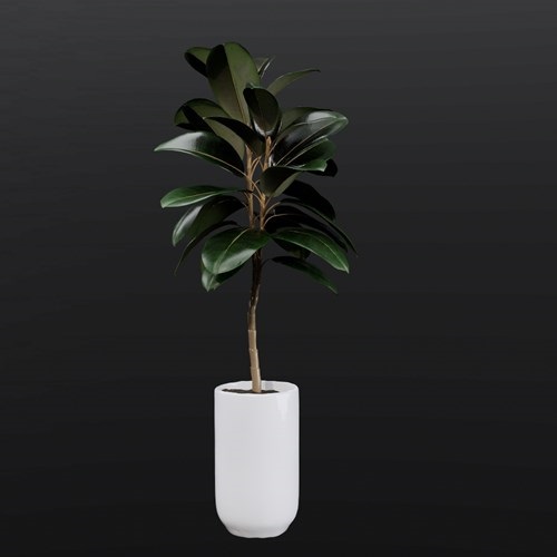 SU模型库丨植物丨SUBIM099ENS0529