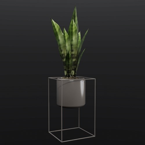 SU模型库丨植物丨SUBIM099ENS0594