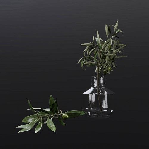 SU模型库丨植物丨SUBIM099ENS0617