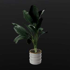 SU模型库丨植物丨SUBIM099ENS0666