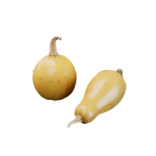 南瓜食物 ID：E02200765