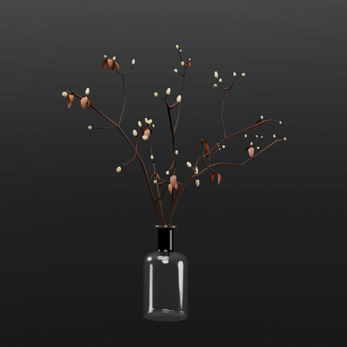 植物 ID：SUBIM099ENS0720