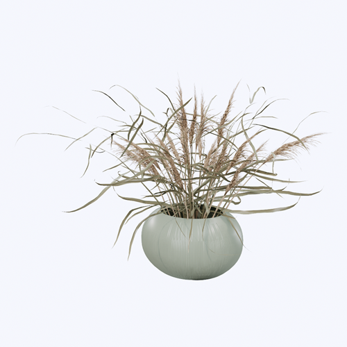 植物 ID：SUBIM099ENS0757